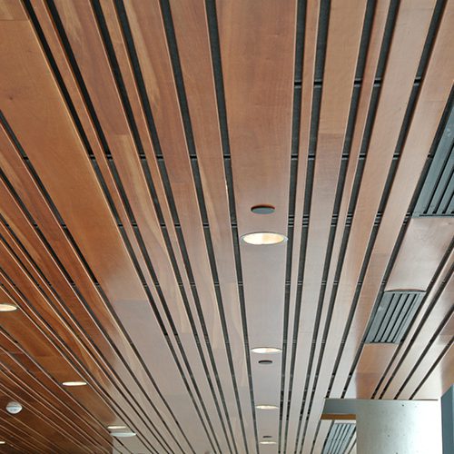 B Multi-shaped Ceilings