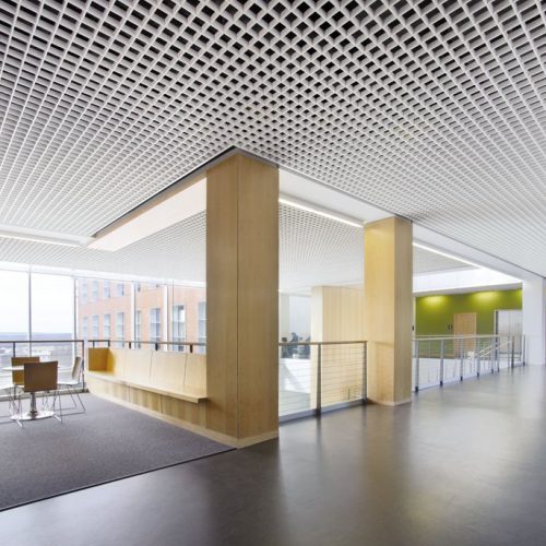 CELL CEILINGS – SQUARE