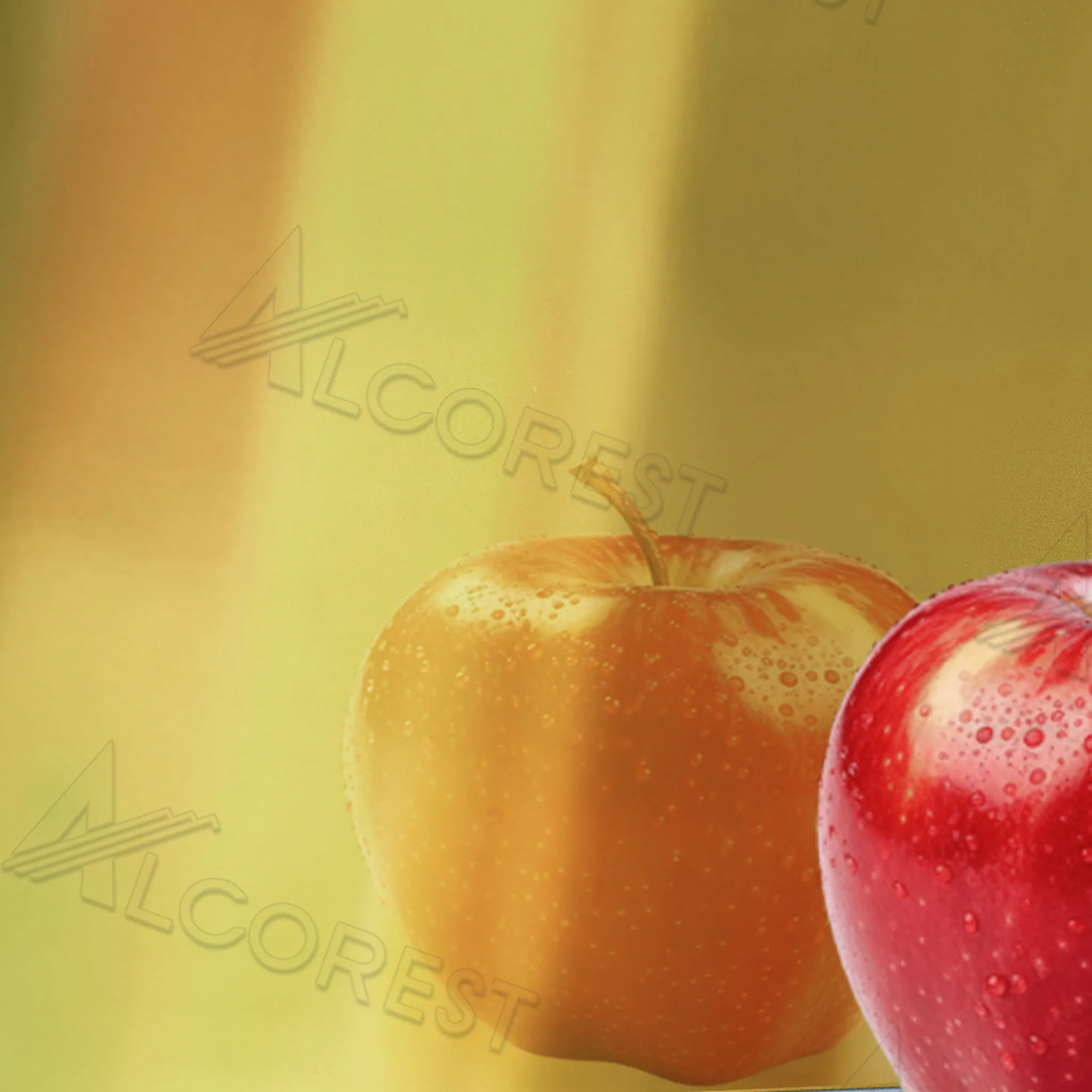 Tấm ốp Alu Ev2032 Alcorest