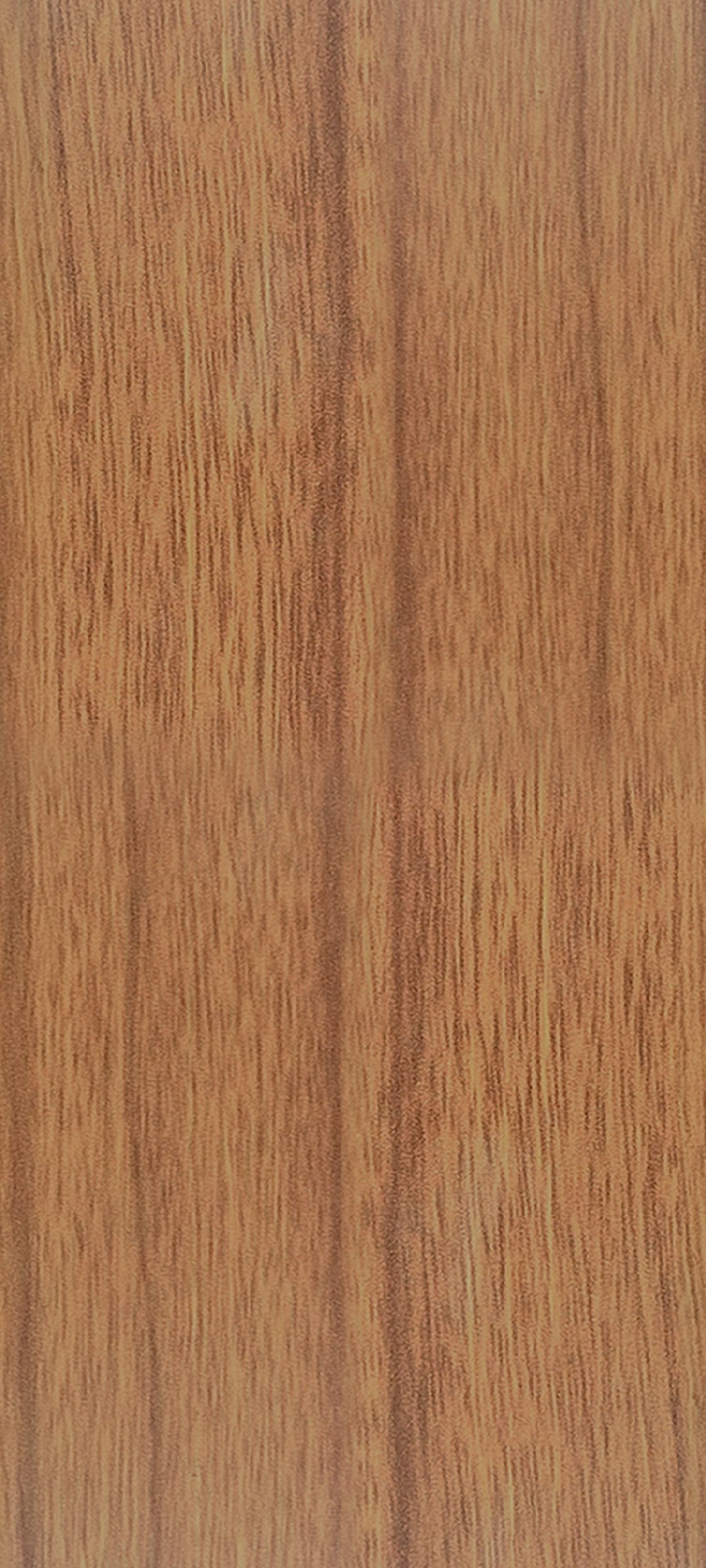 CV2026